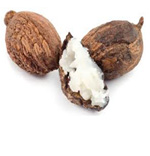 Livenative Cosmétiques Purs, Frais, Vivants
