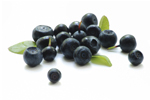 Actifs biologiques acai berries