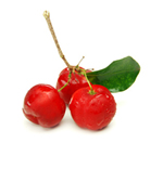 Actifs biologiques acerola image