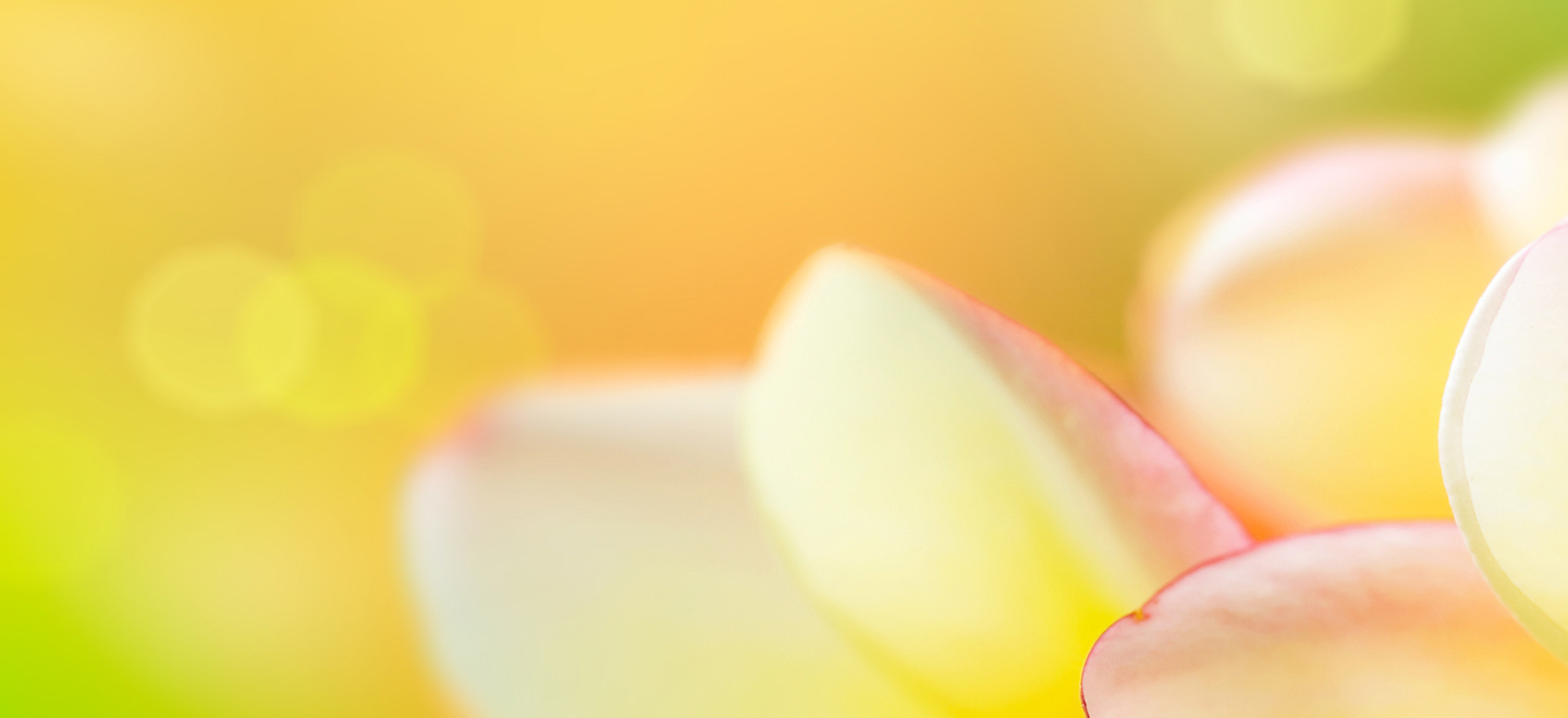 LIVENATIVE homeslider gorgeous fragrance therapy