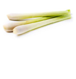 Huiles essentielles citronnelle