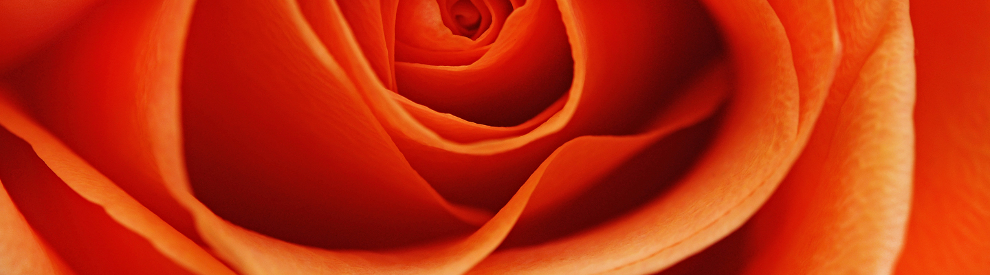 LIVENATIVE ingrédients biologiques