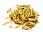 Actifs biologiques Avoine