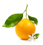 Huiles essentielles Orange douce