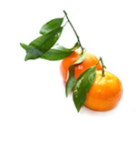 Huiles essentielles bigardier