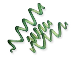 Actifs biologiques spiruline